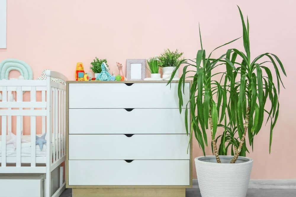 Chambre de bébé avec une plante