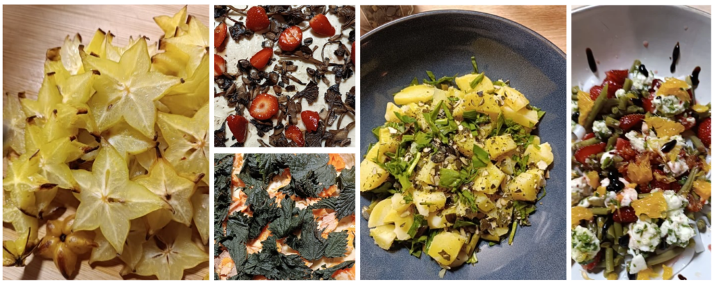 visuel inspiration cuisine L'atelier des couleurs